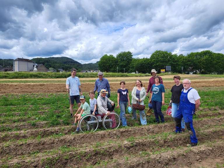 Viele Helfer in den Reihen